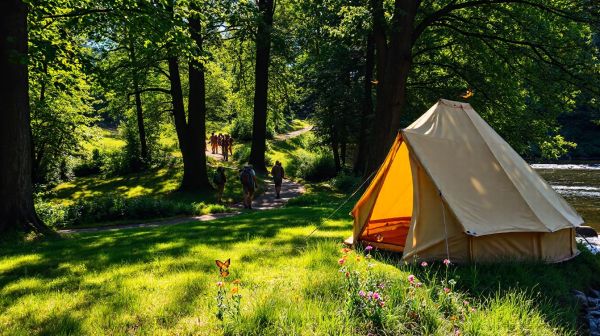Top activités de camping à Dinan pour des souvenirs mémorables